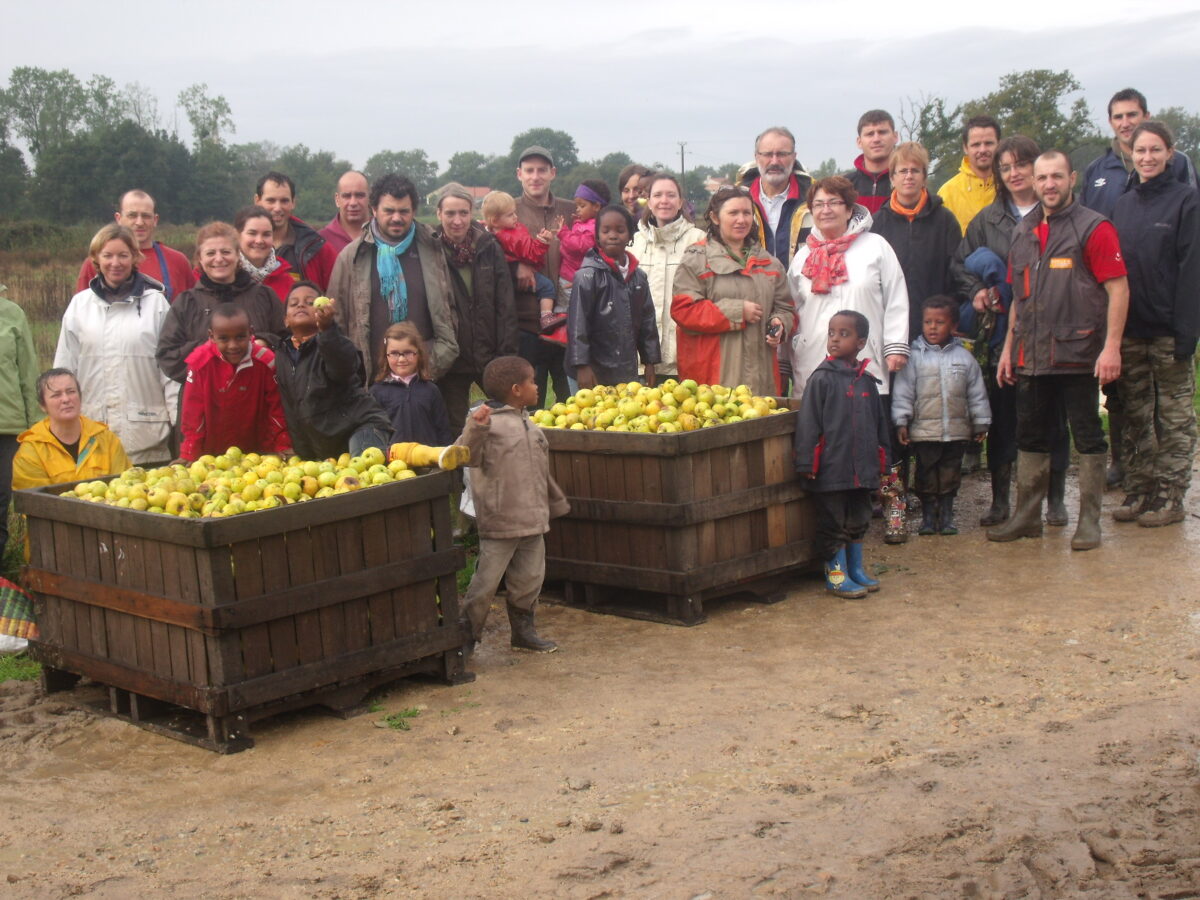 Jus de pomme 2012
