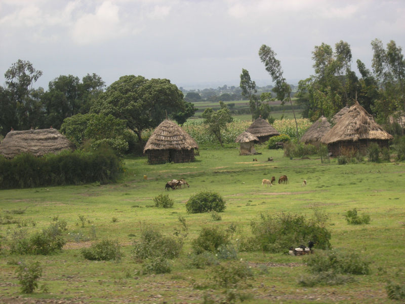 Paysage d'Ethiopie (2)- 2005