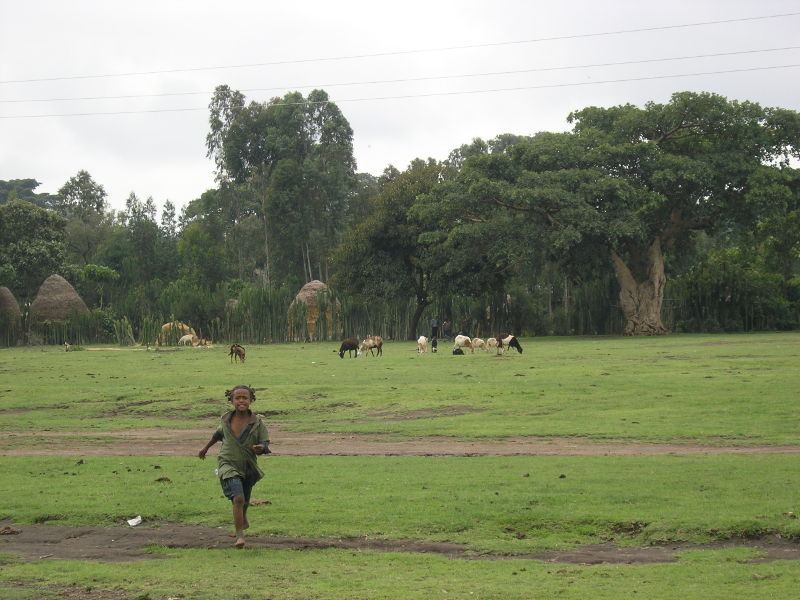 Paysage d'Ethiopie (1) - 2005